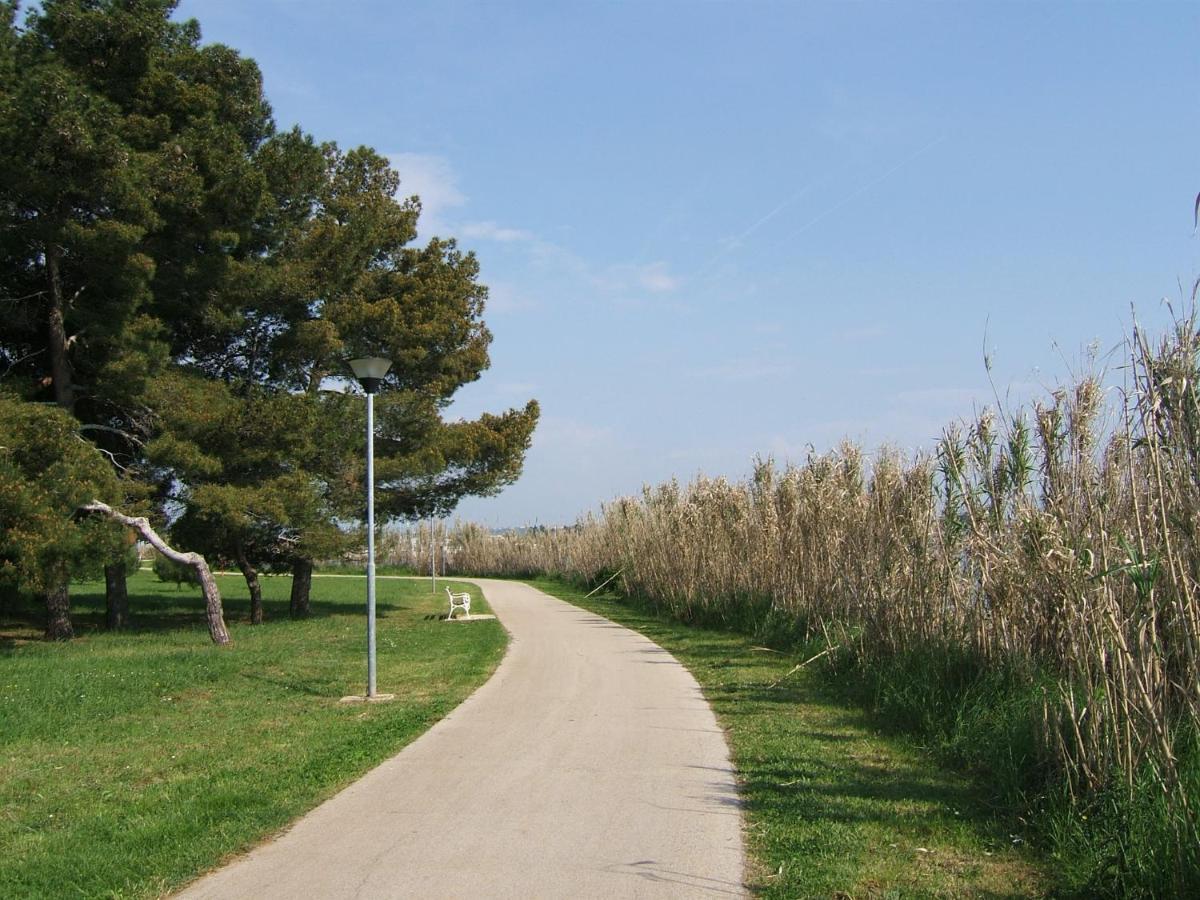 Tamaris, 600 M From The Beach Novigrad Istria Eksteriør billede